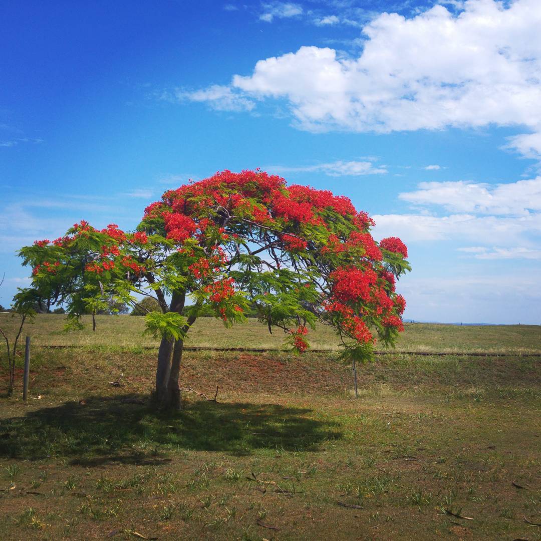 St. Helena Island National Park